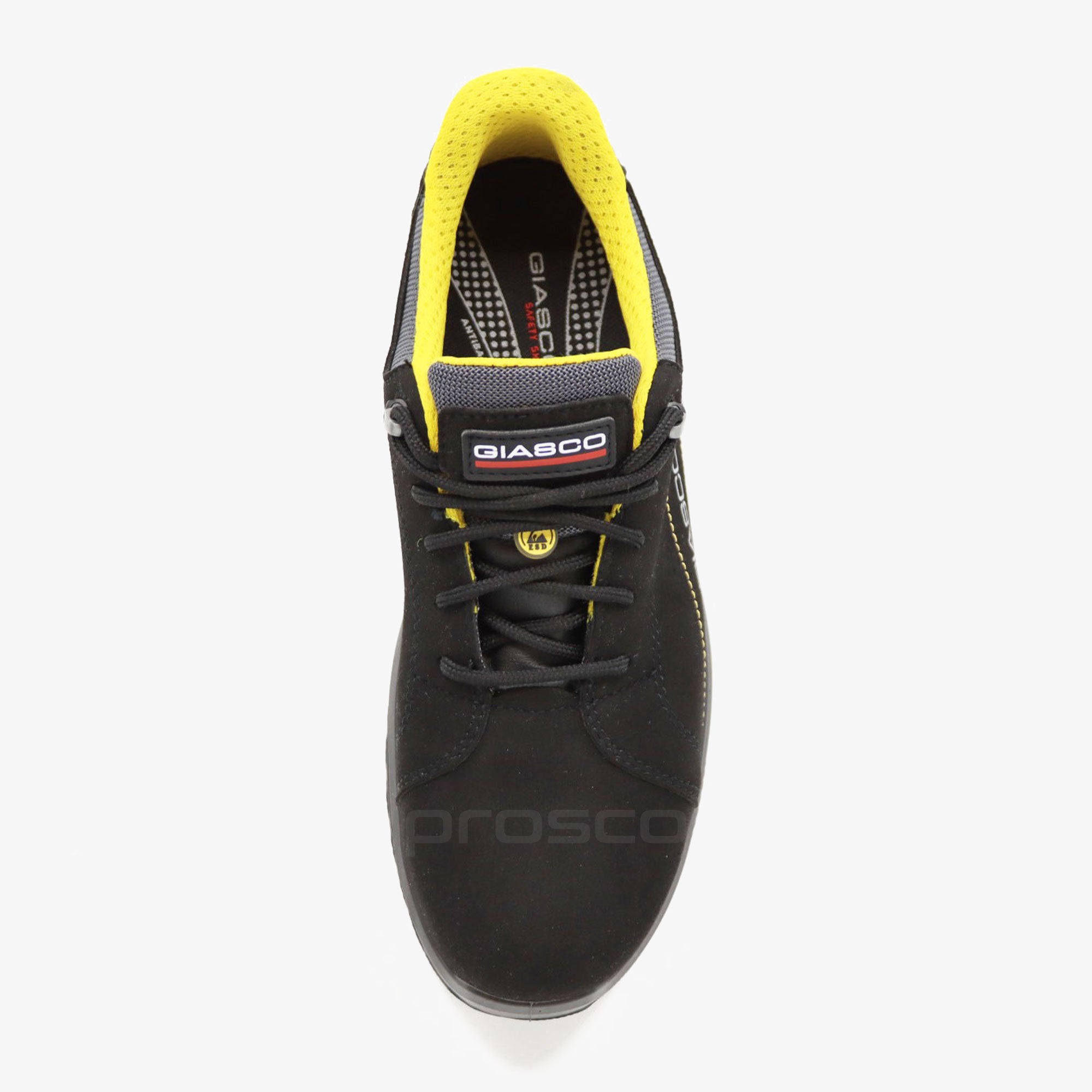 GIASCO PONZA S3 Niske radne tenisice